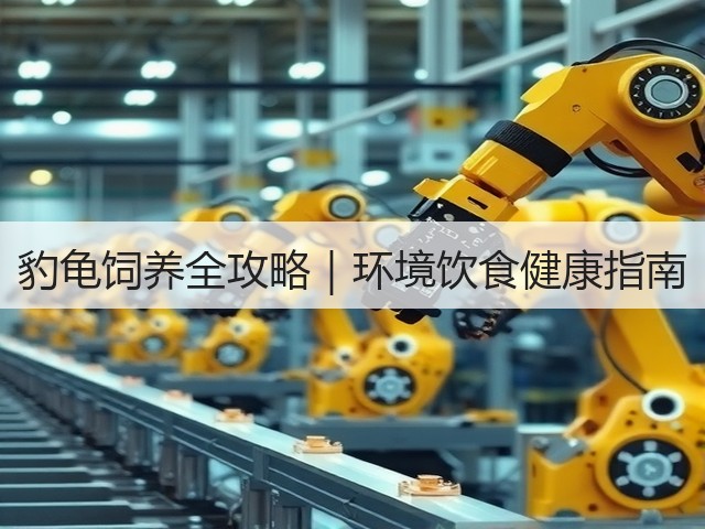 豹龟饲养全攻略|环境饮食健康指南(图1) 豹龟饲养全攻略|环境饮食健康指南(图1)