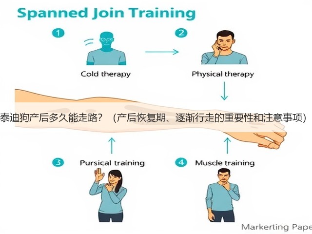 泰迪狗产后多久能走路？（产后恢复期、逐渐行走的重要性和注意事项）(图3)