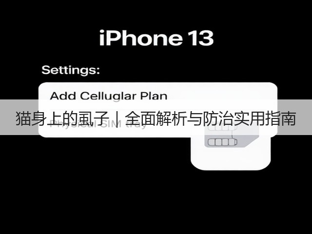 猫身上的虱子|全面解析与防治实用指南(图2) 猫身上的虱子|全面解析与防治实用指南(图2)