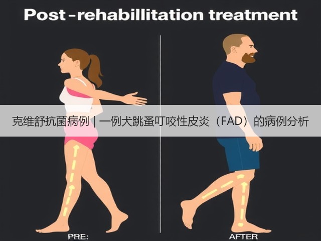 克维舒抗菌病例 | 一例犬跳蚤叮咬性皮炎(FAD)的病例分析(图3) 克维舒抗菌病例 | 一例犬跳蚤叮咬性皮炎(FAD)的病例分析(图3)