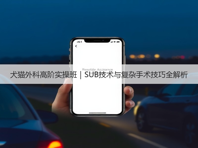 犬猫外科高阶实操班｜SUB技术与复杂手术技巧全解析