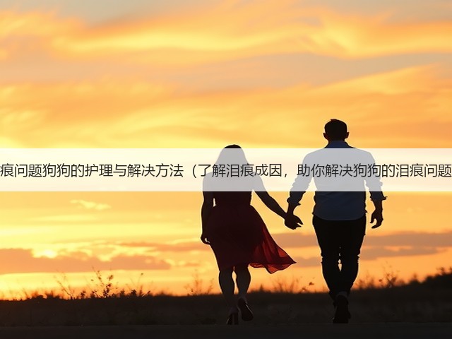 泪痕问题狗狗的护理与解决方法(了解泪痕成因,助你解决狗狗的泪痕问题)(图1) 泪痕问题狗狗的护理与解决方法(了解泪痕成因,助你解决狗狗的泪痕问题)(图1)