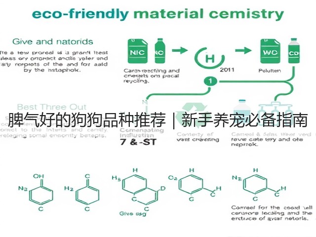 脾气好的狗狗品种推荐|新手养宠必备指南(图1) 脾气好的狗狗品种推荐|新手养宠必备指南(图1)