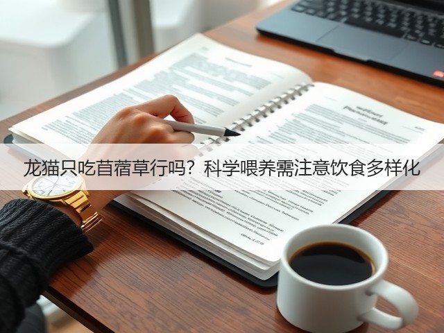 龙猫只吃苜蓿草行吗?科学喂养需注意饮食多样化(图1) 龙猫只吃苜蓿草行吗?科学喂养需注意饮食多样化(图1)