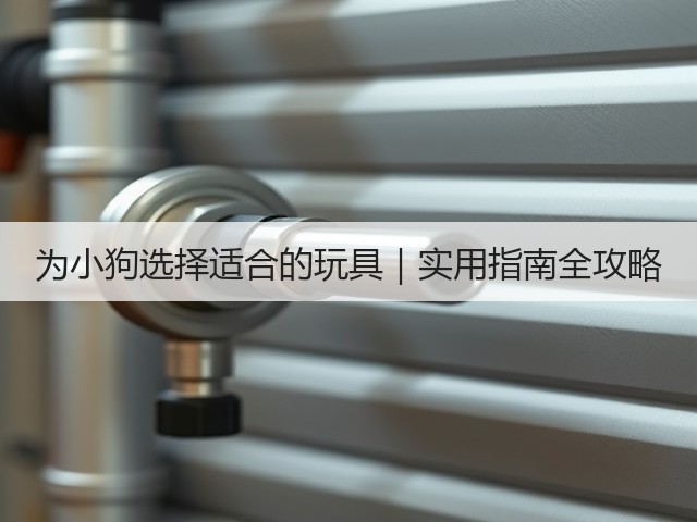 为小狗选择适合的玩具|实用指南全攻略(图3) 为小狗选择适合的玩具|实用指南全攻略(图3)