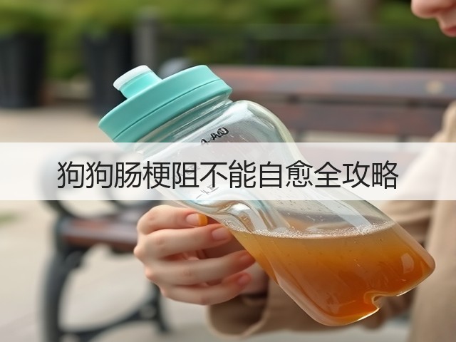 狗狗肠梗阻不能自愈全攻略(图1) 狗狗肠梗阻不能自愈全攻略(图1)