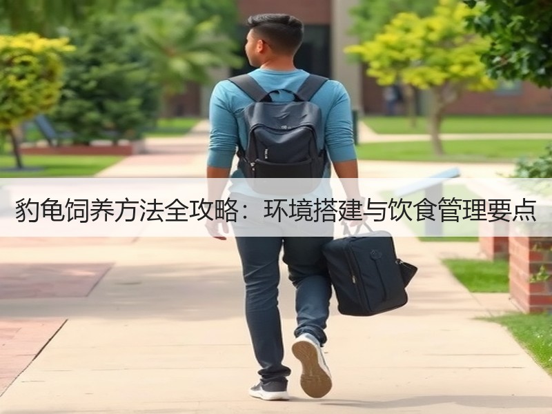 豹龟饲养方法全攻略：环境搭建与饮食管理要点