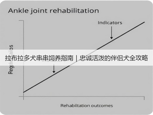拉布拉多犬串串饲养指南|忠诚活泼的伴侣犬全攻略(图3) 拉布拉多犬串串饲养指南|忠诚活泼的伴侣犬全攻略(图3)