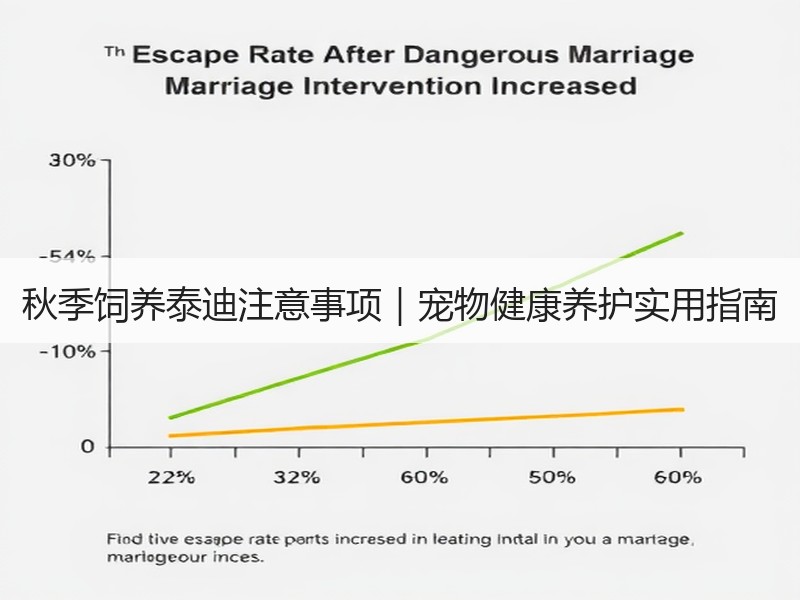 秋季饲养泰迪注意事项｜宠物健康养护实用指南