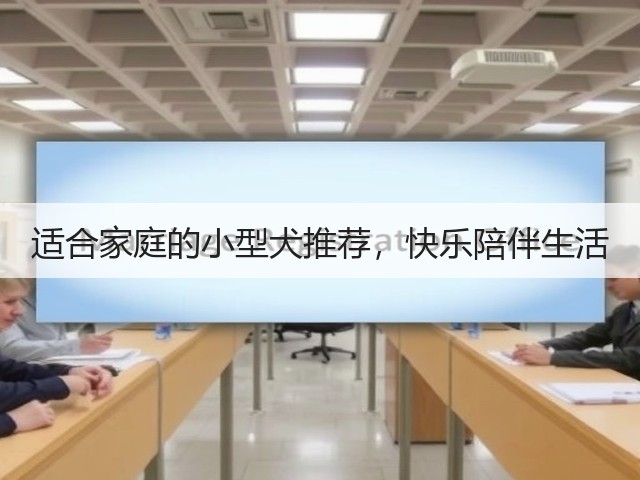 适合家庭的小型犬推荐,快乐陪伴生活(图2) 适合家庭的小型犬推荐,快乐陪伴生活(图2)