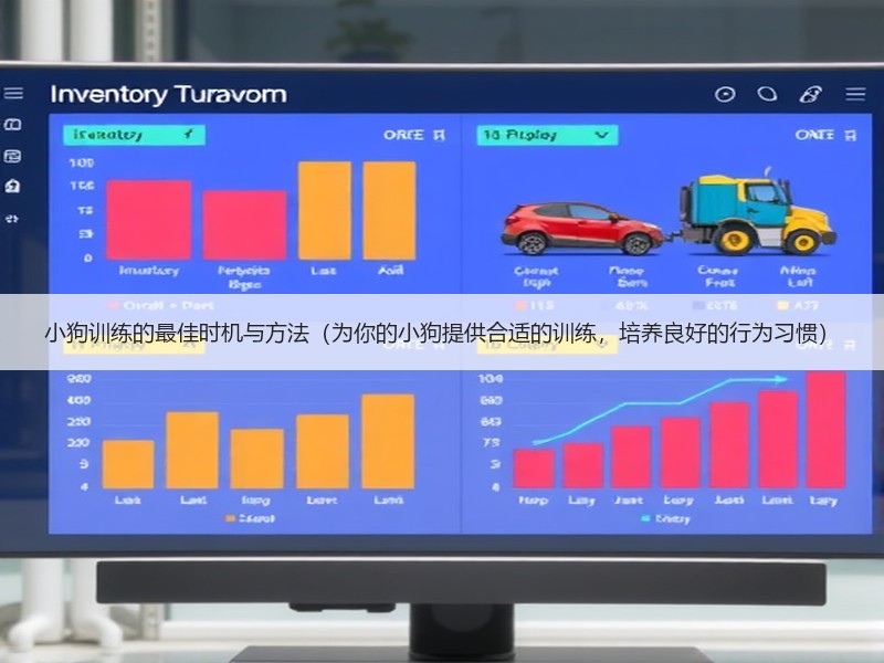 小狗训练的最佳时机与方法（为你的小狗提供合适的训练，培养良好的行为习惯）
