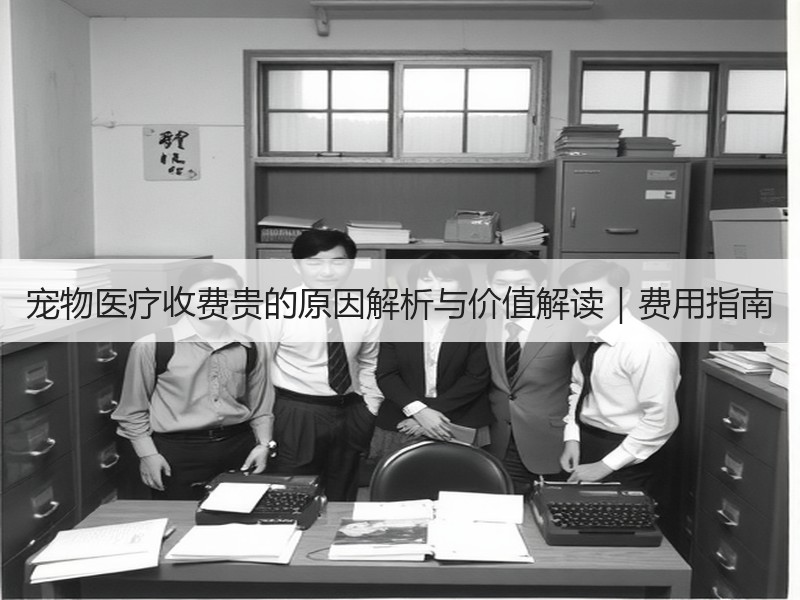 宠物医疗收费贵的原因解析与价值解读｜费用指南