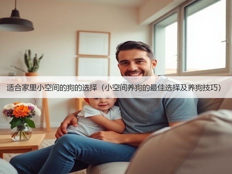 适合家里小空间的狗的选择（小空间养狗的最佳选择及养狗技巧）