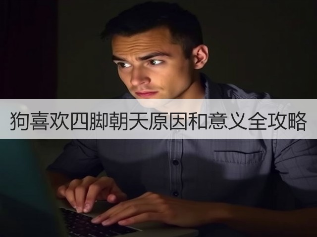 狗喜欢四脚朝天原因和意义全攻略(图2) 狗喜欢四脚朝天原因和意义全攻略(图2)