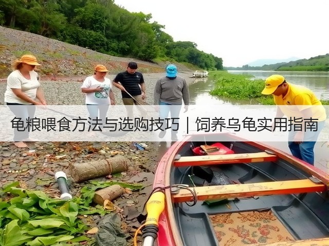 龟粮喂食方法与选购技巧|饲养乌龟实用指南(图2) 龟粮喂食方法与选购技巧|饲养乌龟实用指南(图2)