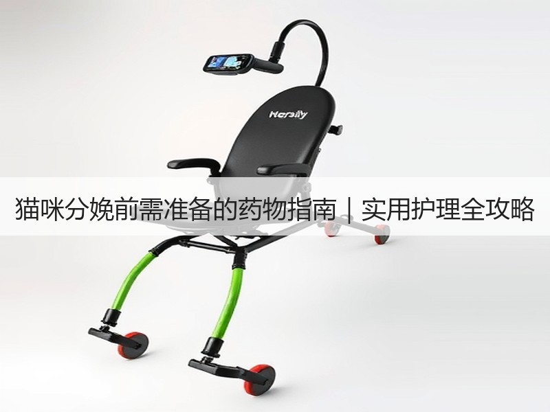 猫咪分娩前需准备的药物指南｜实用护理全攻略