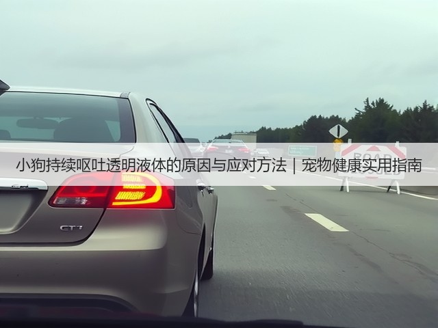 小狗持续呕吐透明液体的原因与应对方法|宠物健康实用指南(图3) 小狗持续呕吐透明液体的原因与应对方法|宠物健康实用指南(图3)