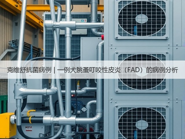 克维舒抗菌病例 | 一例犬跳蚤叮咬性皮炎(FAD)的病例分析(图1) 克维舒抗菌病例 | 一例犬跳蚤叮咬性皮炎(FAD)的病例分析(图1)