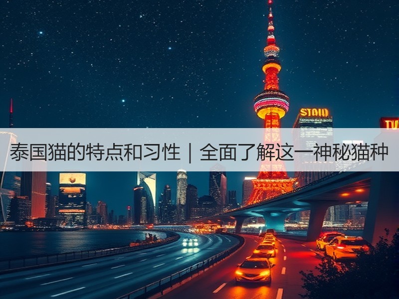 泰国猫的特点和习性｜全面了解这一神秘猫种