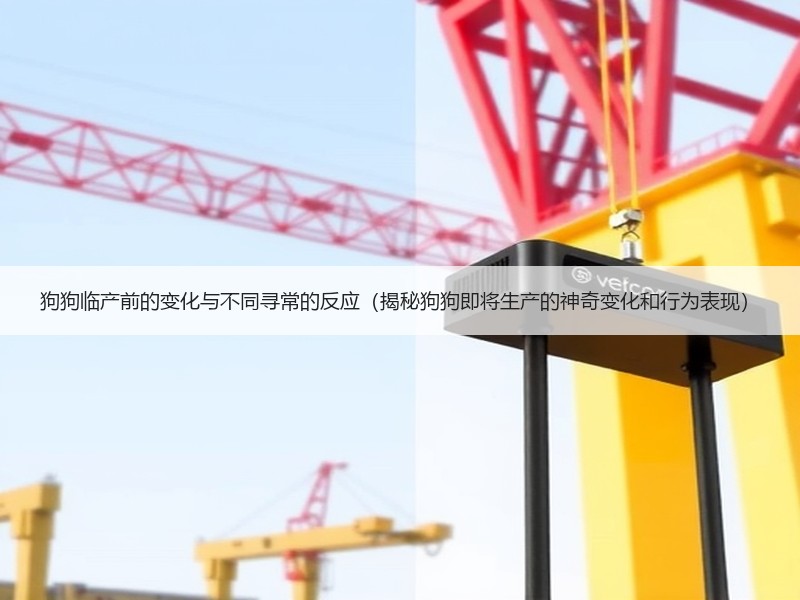 狗狗临产前的变化与不同寻常的反应（揭秘狗狗即将生产的神奇变化和行为表现）