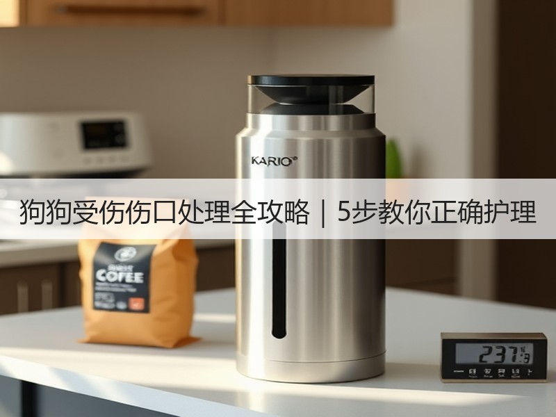 狗狗受伤伤口处理全攻略｜5步教你正确护理