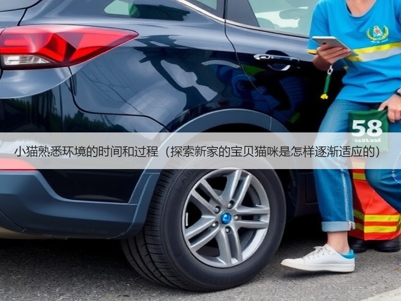 小猫熟悉环境的时间和过程（探索新家的宝贝猫咪是怎样逐渐适应的）