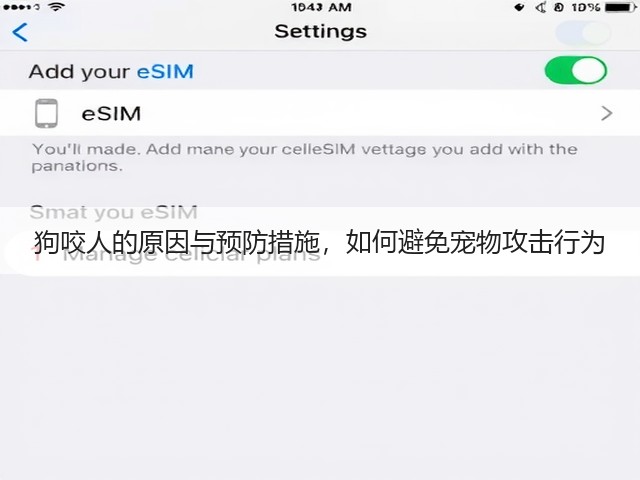 狗咬人的原因与预防措施,如何避免宠物攻击行为(图2) 狗咬人的原因与预防措施,如何避免宠物攻击行为(图2)