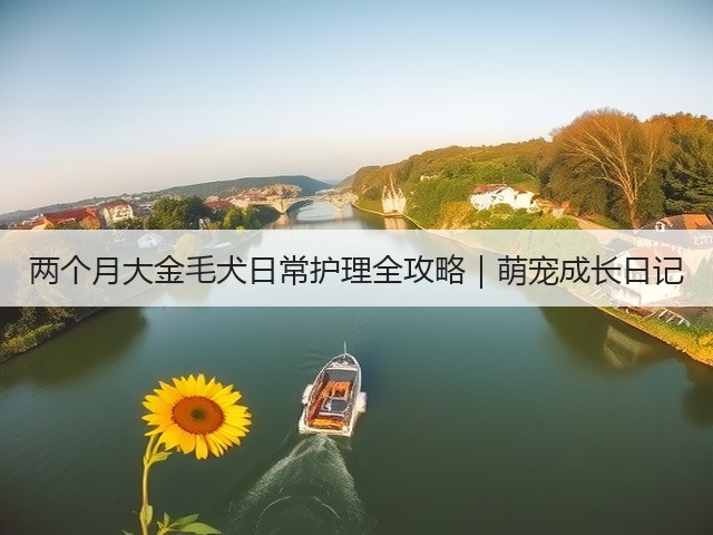 两个月大金毛犬日常护理全攻略｜萌宠成长日记(图3)