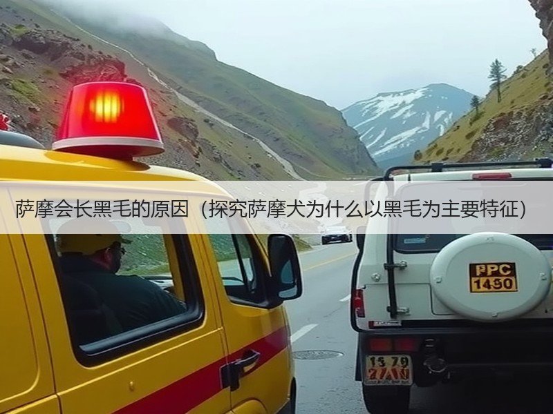 萨摩会长黑毛的原因（探究萨摩犬为什么以黑毛为主要特征）
