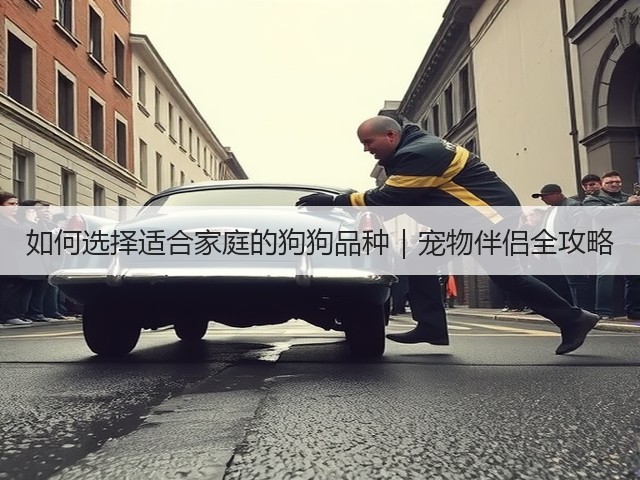 如何选择适合家庭的狗狗品种|宠物伴侣全攻略(图1) 如何选择适合家庭的狗狗品种|宠物伴侣全攻略(图1)