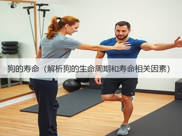 狗的寿命(解析狗的生命周期和寿命相关因素)(图3) 狗的寿命(解析狗的生命周期和寿命相关因素)(图3)