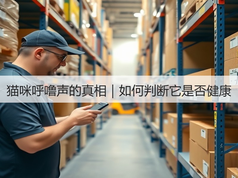 猫咪呼噜声的真相｜如何判断它是否健康