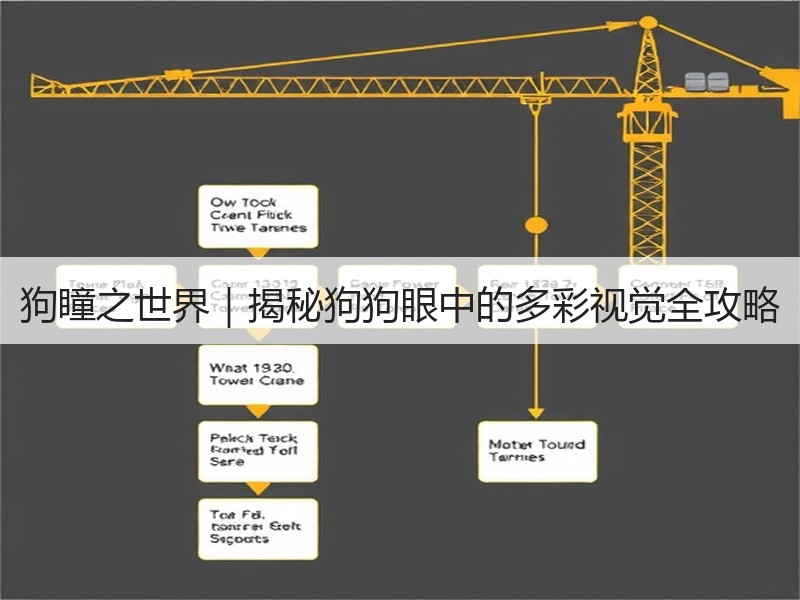 狗瞳之世界｜揭秘狗狗眼中的多彩视觉全攻略