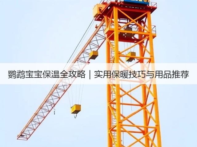 鹦鹉宝宝保温全攻略|实用保暖技巧与用品推荐(图3) 鹦鹉宝宝保温全攻略|实用保暖技巧与用品推荐(图3)