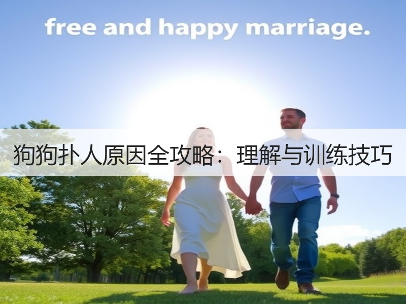 狗狗扑人原因全攻略：理解与训练技巧