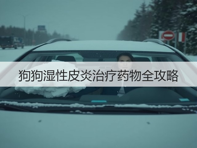 狗狗湿性皮炎治疗药物全攻略(图3) 狗狗湿性皮炎治疗药物全攻略(图3)