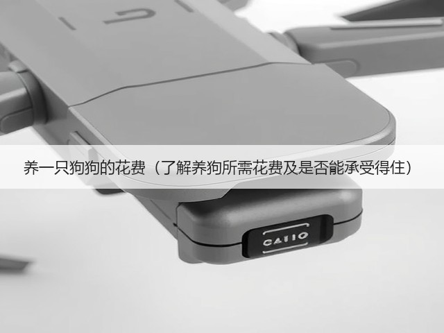 养一只狗狗的花费(了解养狗所需花费及是否能承受得住)(图1) 养一只狗狗的花费(了解养狗所需花费及是否能承受得住)(图1)