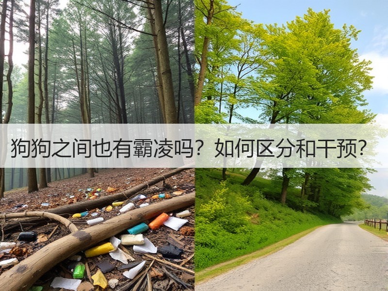 狗狗之间也有霸凌吗？如何区分和干预？
