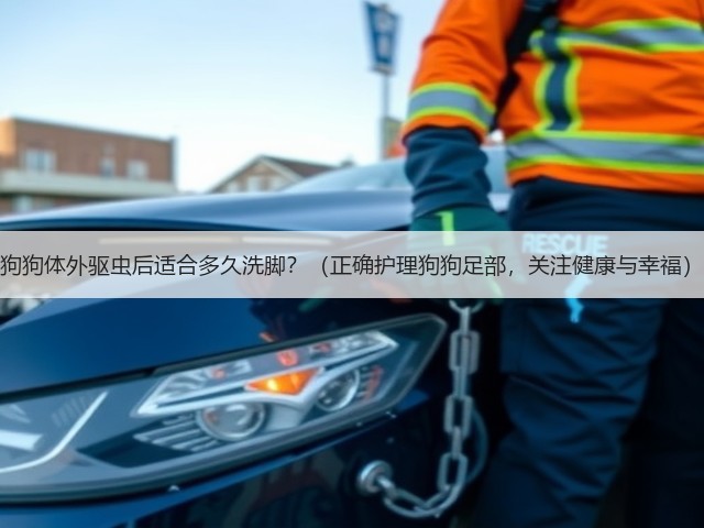 狗狗体外驱虫后适合多久洗脚?(正确护理狗狗足部,关注健康与幸福)(图3) 狗狗体外驱虫后适合多久洗脚?(正确护理狗狗足部,关注健康与幸福)(图3)