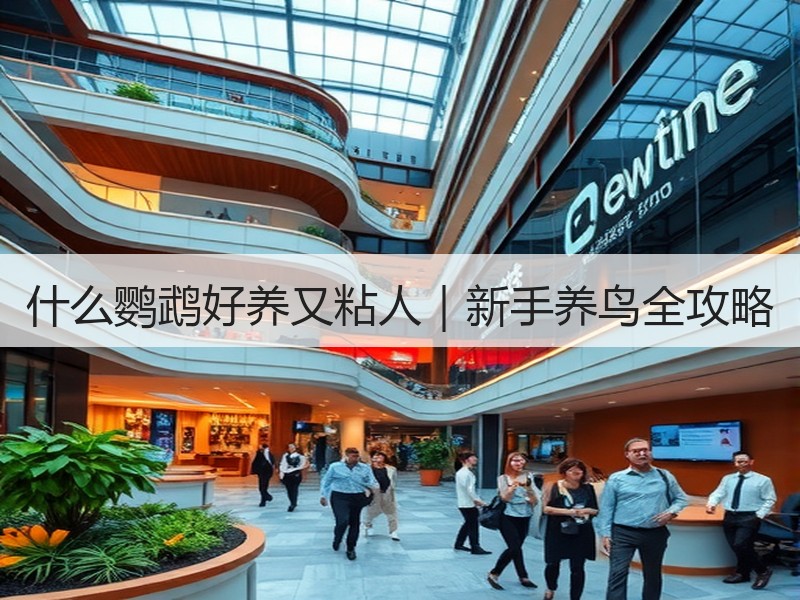什么鹦鹉好养又粘人｜新手养鸟全攻略