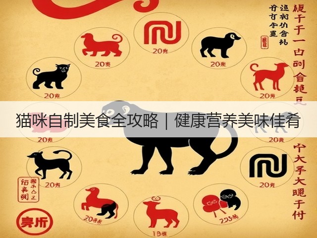 猫咪自制美食全攻略|健康营养美味佳肴(图3) 猫咪自制美食全攻略|健康营养美味佳肴(图3)