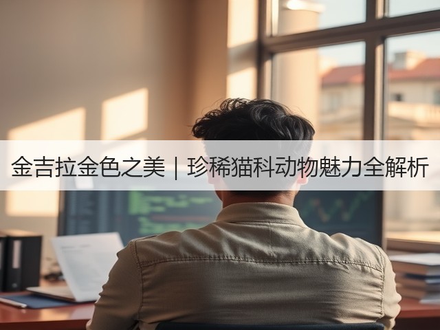 金吉拉金色之美|珍稀猫科动物魅力全解析(图2) 金吉拉金色之美|珍稀猫科动物魅力全解析(图2)