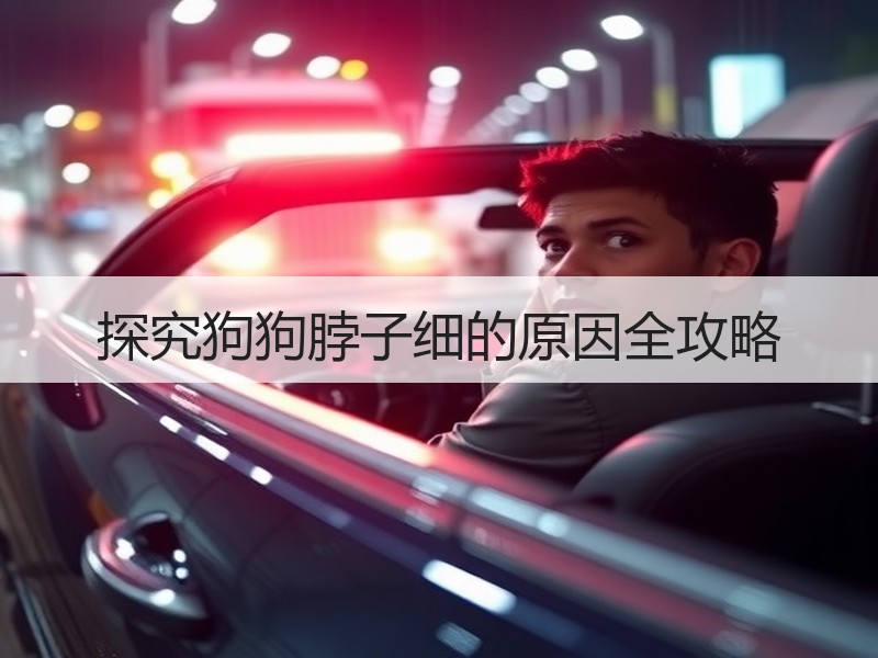 探究狗狗脖子细的原因全攻略