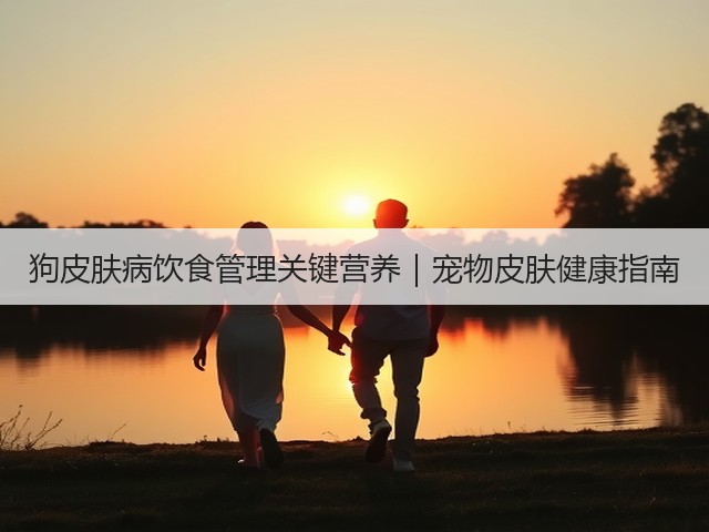 狗皮肤病饮食管理关键营养|宠物皮肤健康指南(图1) 狗皮肤病饮食管理关键营养|宠物皮肤健康指南(图1)