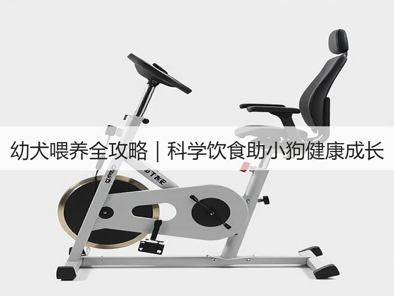 幼犬喂养全攻略｜科学饮食助小狗健康成长