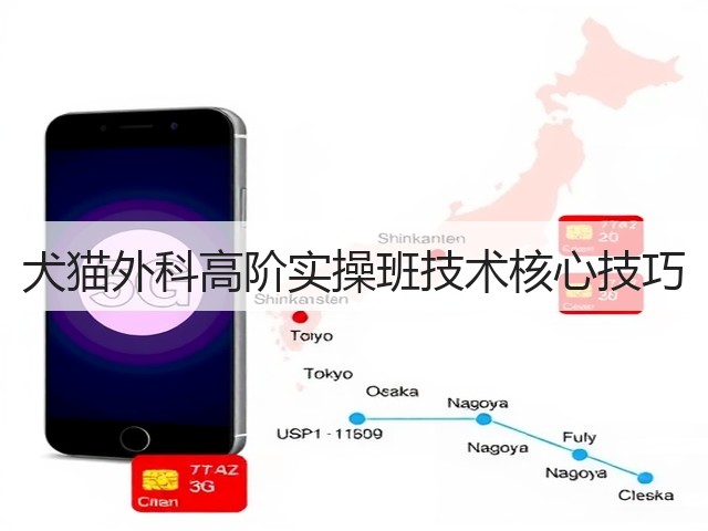 犬猫外科高阶实操班技术核心技巧(图1) 犬猫外科高阶实操班技术核心技巧(图1)