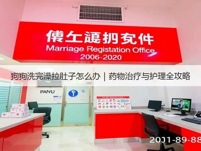狗狗洗完澡拉肚子怎么办|药物治疗与护理全攻略(图1) 狗狗洗完澡拉肚子怎么办|药物治疗与护理全攻略(图1)