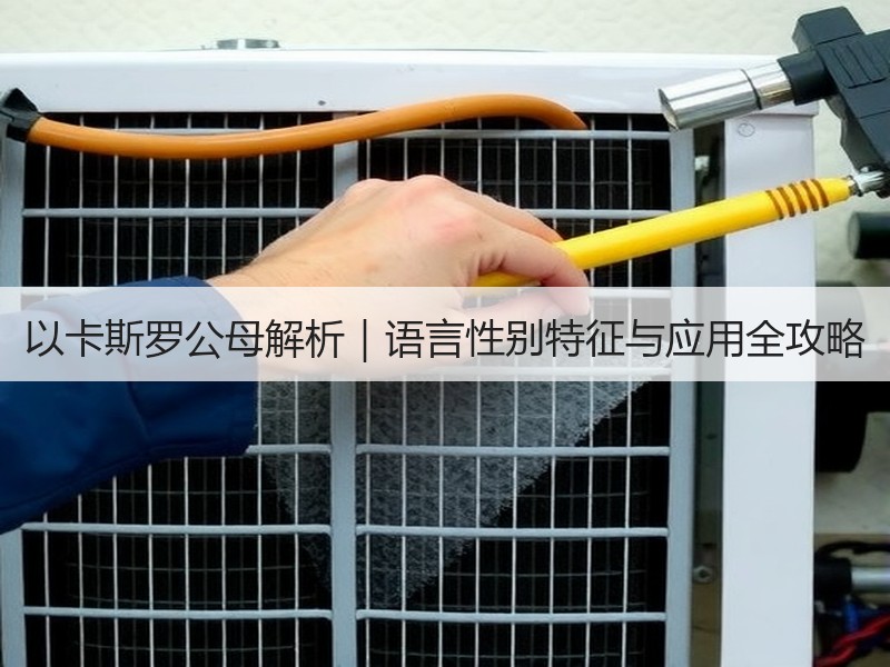 以卡斯罗公母解析｜语言性别特征与应用全攻略