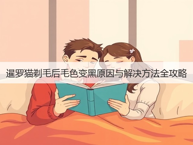 暹罗猫剃毛后毛色变黑原因与解决方法全攻略(图1) 暹罗猫剃毛后毛色变黑原因与解决方法全攻略(图1)