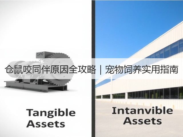 仓鼠咬同伴原因全攻略|宠物饲养实用指南(图2) 仓鼠咬同伴原因全攻略|宠物饲养实用指南(图2)